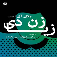 کتاب صوتی زن زیادی اثر جلال آل احمد