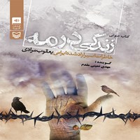 کتاب صوتی زندگی در مه؛ خاطرات اسیر آزاد شده ایرانی اثر داوود بختیاری دانشور