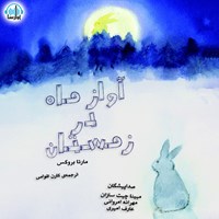 کتاب صوتی آواز ماه در زمستان اثر مارتا بروکس