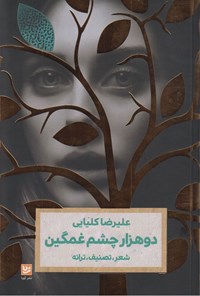 کتاب دو هزار چشم غمگین اثر علیرضا کلیایی
