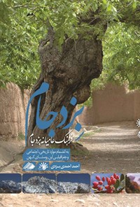 کتاب فرهنگ عامیانه بزد جام اثر احمد احمدی بزدی