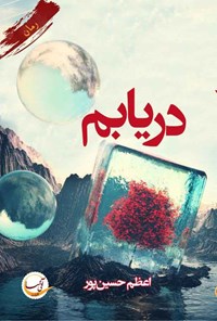 کتاب دریابم اثر اعظم حسین‌پور