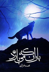 کتاب باران که می بارد اثر محمد خزائی
