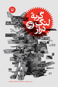 کتاب گربه لنگ دراز اثر جشنواره داستان انقلاب