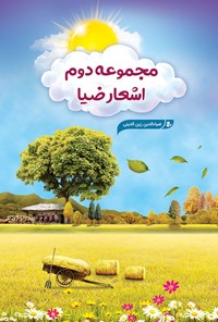 کتاب مجموعه دوم اشعار ضیا اثر ضیاءالدین زین الدینی