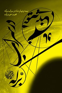 کتاب نیمه پنهان ماه در سراب برکه اثر محمد حمیدزاده
