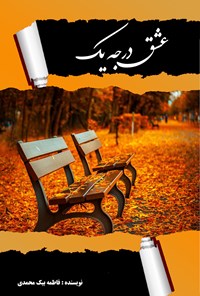 کتاب عشق درجه یک اثر فاطمه بیک محمدی