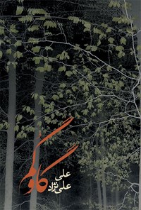 کتاب گاو گم اثر علی علی‌نژاد