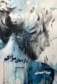 کتاب واژه های سردرگم اثر مینا احمدی