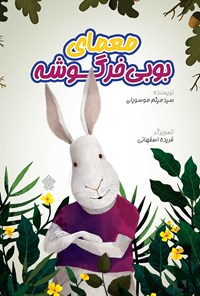 کتاب معمای بوبی خرگوشه اثر سیدمیثم موسویان