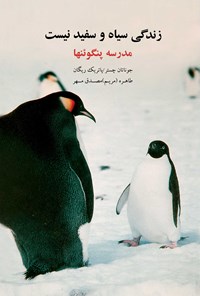 کتاب زندگی سیاه و سفید نیست، مدرسه پنگوئنها اثر جوناتان چستر
