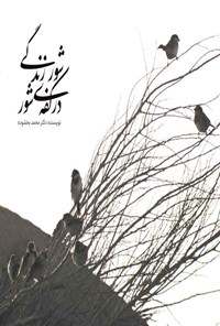 کتاب شور زندگی در کفه شور اثر محمد بخشوده