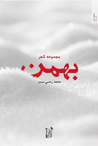 کتاب بهمن اثر محمد رجبی‌نسب