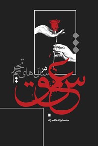 کتاب عشق در سال های تحریم اثر محمدفرزاد هاشم‌زاده