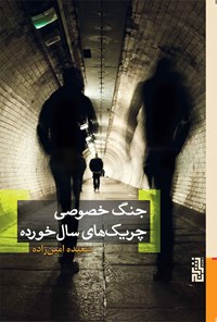 کتاب جنگ خصوصی چریک های سال خورده اثر سعیده امین‌زاده