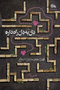 کتاب دل به دل راه داره اثر سیدعلی آقای کابلی
