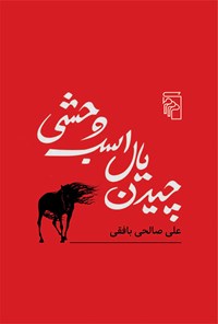 کتاب چیدن یال اسب وحشی اثر علی صالحی بافقی