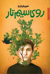 کتاب روی سیم تار اثر حسین قربانزاده خیاوی