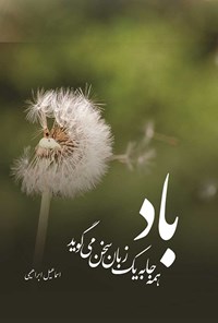 کتاب باد همه جا به یک زبان سخن می گوید اثر اسماعیل ابراهیمی
