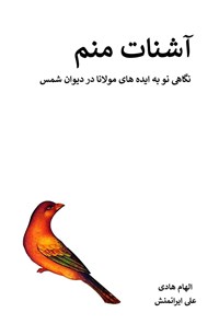 کتاب آشنات منم اثر الهام هادی نجف‌آبادی
