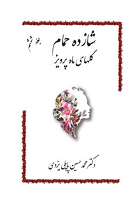 کتاب شازده حمام (جلد ششم) اثر محمدحسین پاپلی یزدی