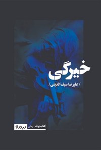 کتاب خیرگی اثر علیرضا سیف الدینی