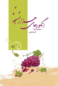 کتاب انگورهای هزار مسجد اثر محمدرضا ضیغمی