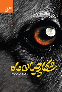 کتاب شکارچیان ماه اثر محمدرضا بایرامی