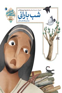 کتاب شب بارانی و شش قصه دیگر اثر محمود  پور وهاب