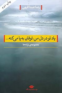 کتاب یاد تو در دل من ، توفان به پا می‌کنه...(مجموعه‌ی ترانه‌) اثر رضا عبداللهی