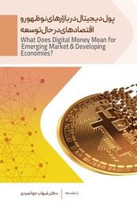 کتاب پول دیجیتال در بازارهای نوظهور و اقتصادهای در حال توسعه اثر بانک جهانی