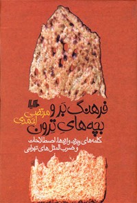 کتاب فرهنگ بر و بچه های ترون اثر مرتضی احمدی