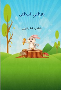 کتاب نازگلی لپ گلی اثر ثنا بابایی