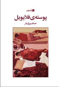 کتاب پوسته فلایویل اثر حسام الدین غلامی بیرق دار