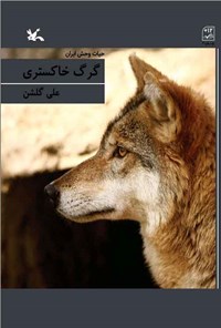 کتاب گرگ خاکستری اثر علی گلشن