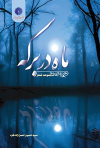 کتاب ماه در برکه اثر سید حسین حسن زاده فرد