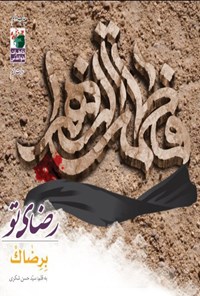 کتاب رضای تو اثر سیدحسن شکری