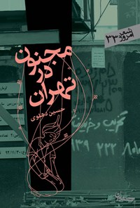 کتاب مجنون در تهران اثر حسین دهلوی