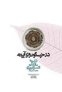 کتاب در جستجوی آینه اثر محمد بن علی شمس تبریزی