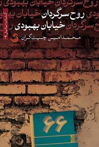 کتاب روح سرگردان خیابان بهبودی اثر محمدامین چیت‌گران