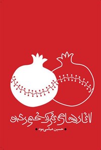 کتاب انارهای ترک خورده اثر حسین عباسی مود