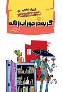 کتاب گربه در جوراب زنانه؛ قصه‌های غرب وحشی ۳ اثر شهرام شفیعی