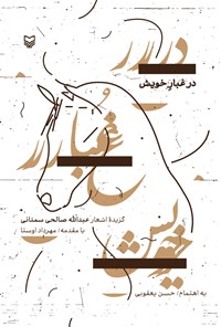 کتاب در غبار خویش اثر عبدالله صالحی سمنانی