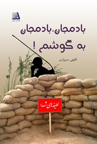 کتاب بادمجان بادمجان بگوشم اثر سید عبدالله افقهی سبزواری