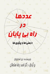 کتاب عددها در راه بی‌پایان اثر احمدرضا سلطانی