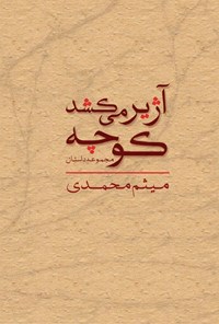 کتاب کوچه آژیر می‌کشد اثر میثم محمدی