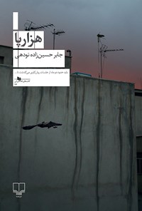 کتاب هزارپا اثر جابر حسین‌زاده نودهی
