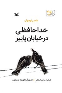 کتاب خداحافظی در خیابان پاییز اثر مریم اسلامی