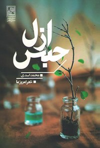 کتاب حبس ازل اثر محمد اسدی