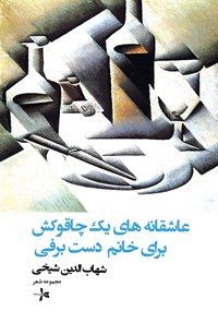 کتاب عاشقانه‌های یک چاقوکش برای خانم دست‌برفی اثر شهاب‌الدین شیخی